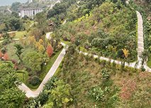 �����{(l��n)�����@